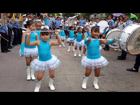 Mini Palillonas 🇭🇳👏 CEB Alvaro Contreras 2023 🙌💯 #palillonas #cachiporristas #cachiporras #ceb