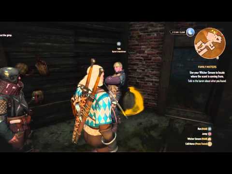 The Witcher 3 - Bring Out the Gimp