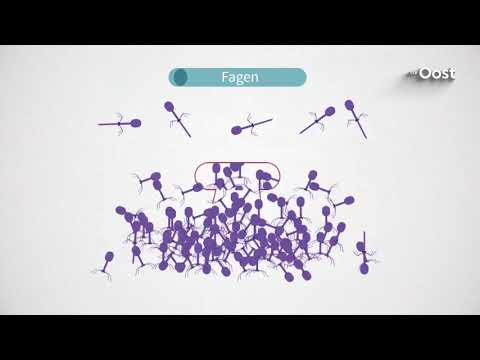 Marit Bakhuis uit Vroomshoop kan weer sporten dankzij bacteriofagen