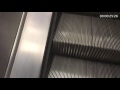 Mind The Gap