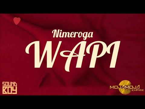 Zest S Killer Feat Amber Lulu——NIMEROGA Lyrics