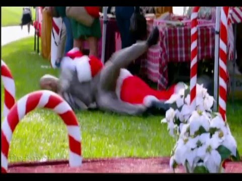 NCIS: Los Angeles 7X11 "Cancel Christmas" Promo