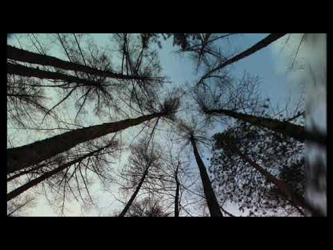 Tpc901 - Jang maraju (music video lirik)