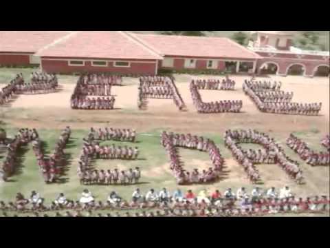 Primary Education Film - Peace One Day