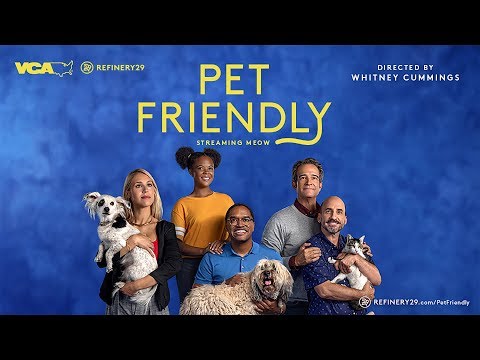 ⁣Pet Friendly VCA Trailer