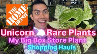 Finding "Unicorn" Rare Plants for CHEAP! 🌿 Big Box Store Plant Shopping Walkthrough Compilation