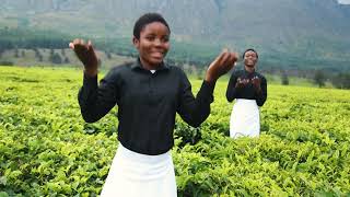 Download lagu oyima mwa yesu. Mitole CCAP Church choir mp3