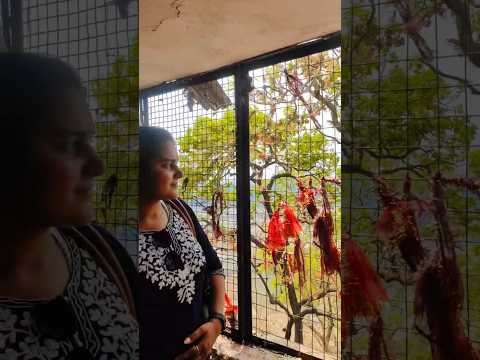 🥰🥰#reetikacreation #youtubeshorts #travel