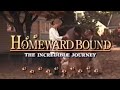Homeward Bound The Incredible Journey Vhs Promos 1993