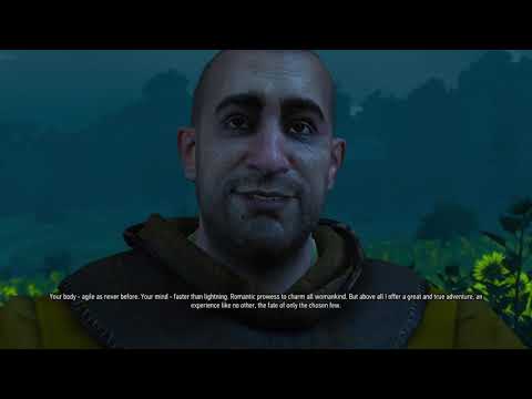The Witcher 3: Wild Hunt: Game of the Year Edition part 321 - Meeting at a Crossroad