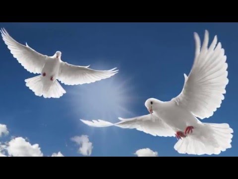 "LE VENT" souffle où il veut - Interprété par l'ensemble vocal l'Alliance