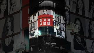 글로비성형외과의원