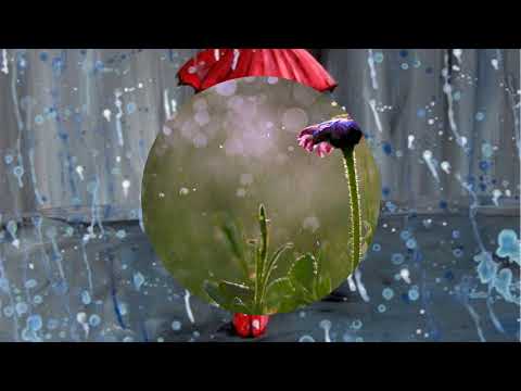 Sinh nhật đen - Mỹ Hạnh