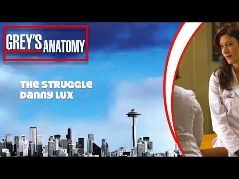 Grey's Anatomy Score - "The Struggle" by Danny Lux (6x04)