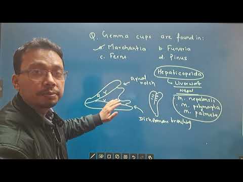 CEE 2081 MEMORY BASED QUESTIONS; Part :23 (UNIT: BASIC COMPONENT OF LIFE AND BIODIVERSITY)