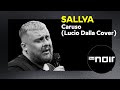 Sallva – Caruso (Lucio Dalla Cover) (live bei TV Noir)