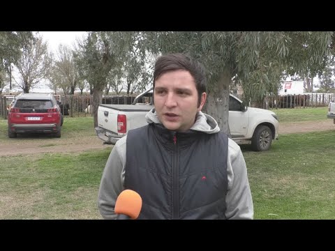 German Scheffer - Martillero de Nestor H. Fuentes