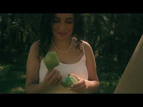 Dia Amanhecer - Isabella Lembo