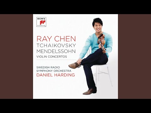 Violin Concerto in D Major, Op. 35, TH 59: I. Allegro moderato