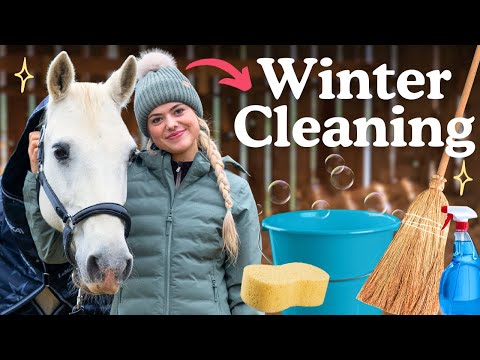 WINTER MEGACLEAN - Cleaning the whole stables for Winter! This Esme