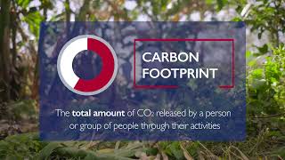 What is a Carbon Footprint?