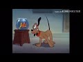 Mickey S Parrot Sped Faster