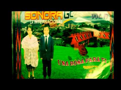 Marimba Sonora GC vol.19 - Cartas Marcadas