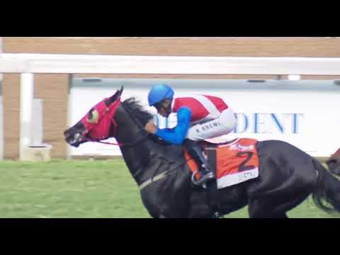 FAUSTINO -2022 WSB DASH