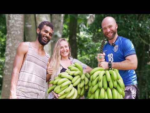 The Best FRUIT I've EVER HAD! Fruit Farm in Dominica!