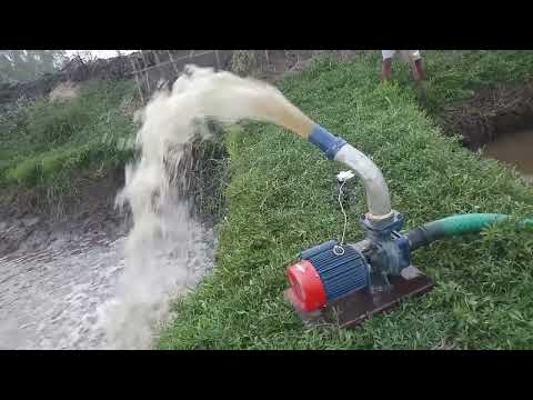 Kilosker 2HP KDS 212N LV