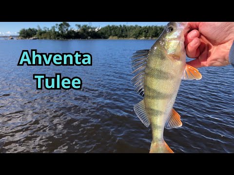 Kalastus - Ahvenen Jigausta
