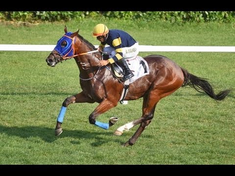 Tay Deneme Koşusu (Grup - 2) 01/09/2019