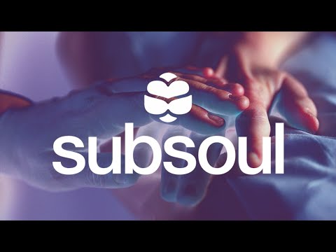 Airwolf Paradise & Rex The Dog - Son Of A Gun feat. JX