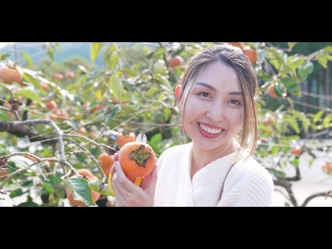 宮崎県延岡市と高千穂町を旅してみた（ロングVer.）