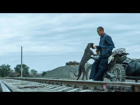Black Dog (Gouzhen) 2024 Movie Trailer