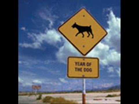 Žlutý pes - Náruživá