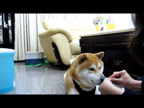 跟麻麻玩  ki 哩發(原發表者:果汁媽)(影片)