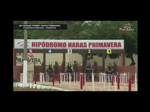 final gp haras primavera