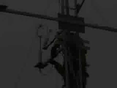 10 - Arctic Expedition V2 (Amundsen Arcticnet LEG 2 Arctic)