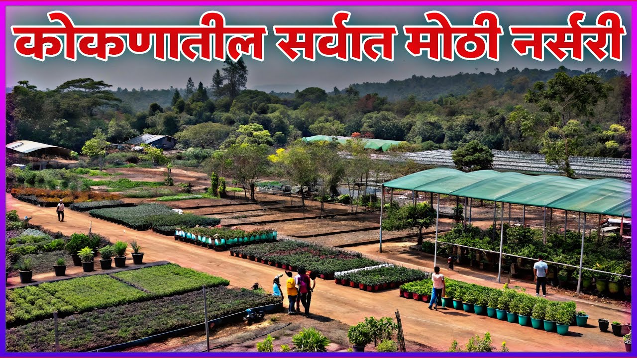 Mahalaxmi Nursery Harchiri - Our Story