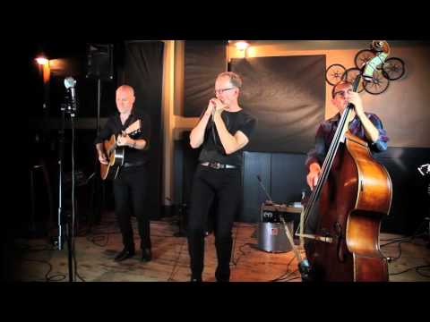 Carlos del Junco and The Blues Mongrels trio – Heddon Tadpolly Spook
