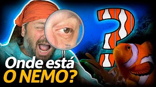 Miniatura do vídeo