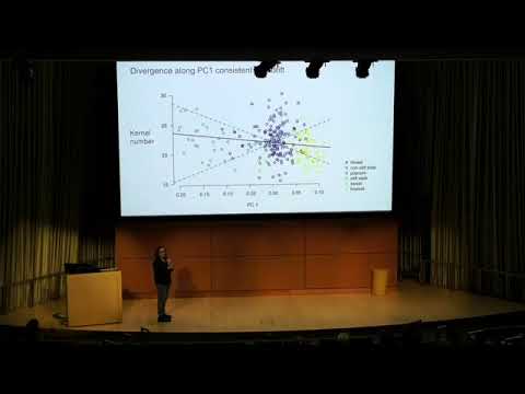 Watch recorded talk: Emily Josephs - Detecting adaptive differentiation in structured populations at Green Life Science Symposium (opens in a new tab)