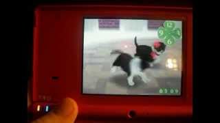 How To Get Your Nintendogs To Breed