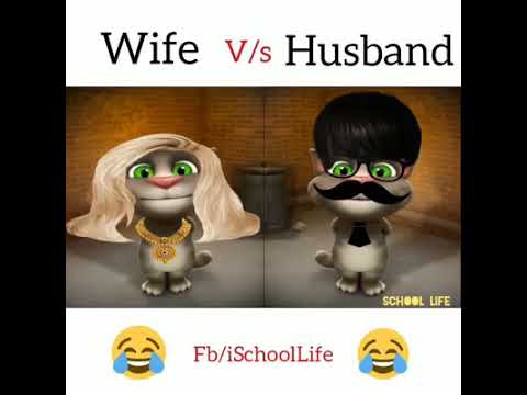 Cat. Husband wife
