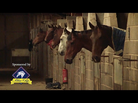 Series 2 of Blue Chip All Star Academy. Auditions now open.