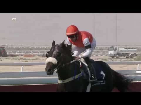 15th Al Uqda meeting - RACE 2