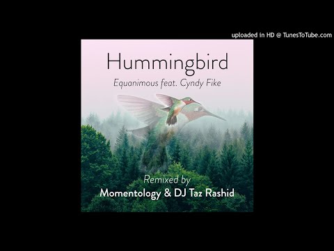 Hummingbird (Momentology, DJ Taz Rashid Remix) - Equanimous feat. Cyndy Fike