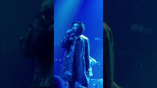 The Growlers - Night Ride at Terminal 5 NYC 5/20/2017