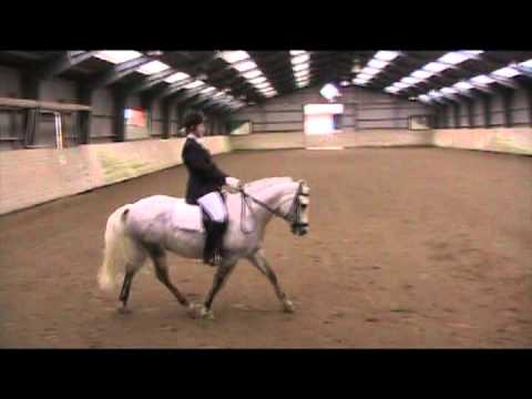 firfod brdr. olsen og sasha KÜR ØDM